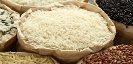 쌀가루 생산공정